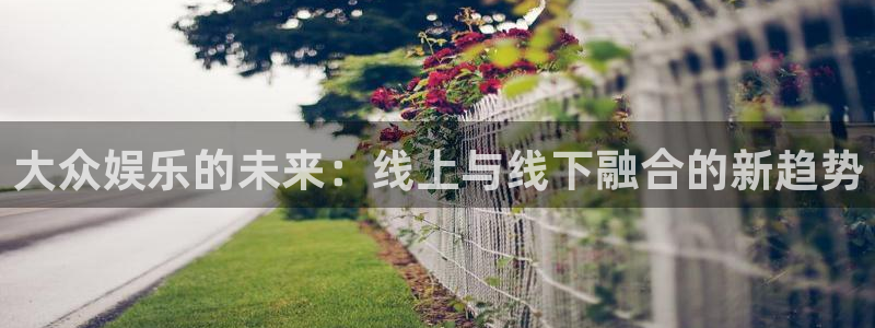 彩名堂全天免费计划官网：大众娱乐的未来：线上与线下融合的新趋势