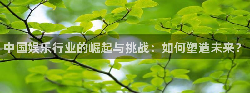 彩名堂免费：中国娱乐行业的崛起与挑战：如何塑造未来？