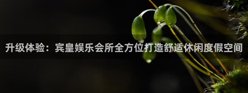 彩名堂官网计划：升级体验：宾皇娱乐会所全方位打造舒适休闲度假空间